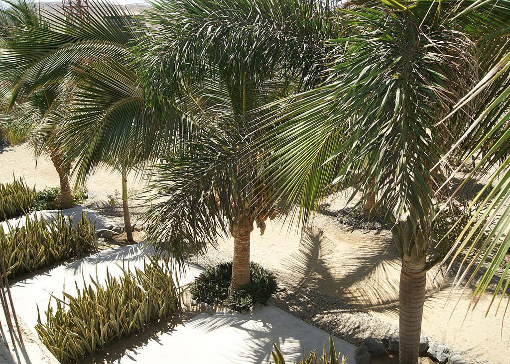 Aquamarinn Máncora Exterior foto